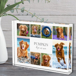 Eenvoudige Fotocollage van je Hond Fotoblokken