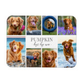 Eenvoudige Hond Pet Fotocollage Magneet (Horizontaal)