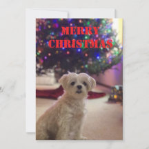 Eenvoudige kerstkaart met vet gedrukt
