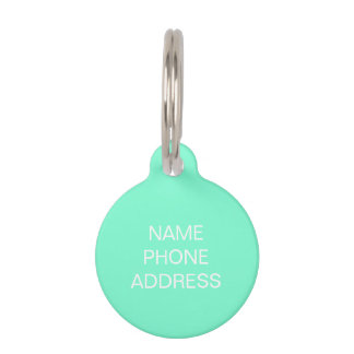Eenvoudige moderne aqua, aangepaste naam en contac huisdierpenning