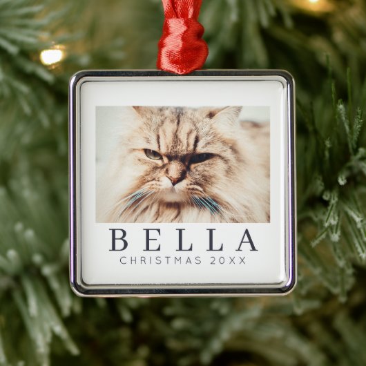 Eenvoudige moderne grafische aangepaste fotofeestd metalen ornament (Boom)