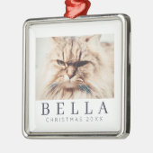 Eenvoudige moderne grafische aangepaste fotofeestd metalen ornament (Links)