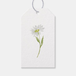 Eenvoudige, moderne Waterverf Daisy Spring Cadeaulabel