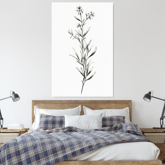 Eenvoudige monochrome rozemarijn schets canvas afdruk (Insitu (Slaapkamer))