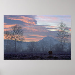 Eenvoudige paarse grazing poster
