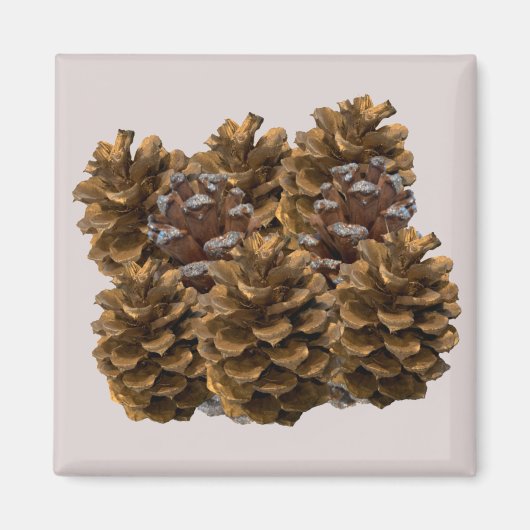 Eenvoudige Pinecones Magnet Magneet (Voorkant)