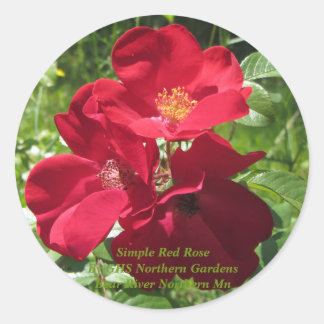 Eenvoudige rode rozen ronde sticker