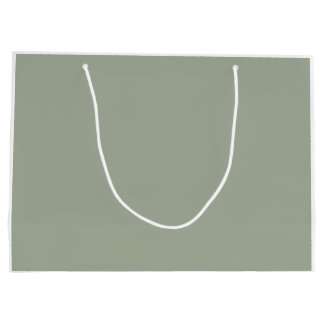 Eenvoudige Sage Green Cactus Large Cadeautasje