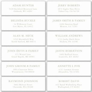 Eenvoudige Sage Green gast adresetiketten sticker