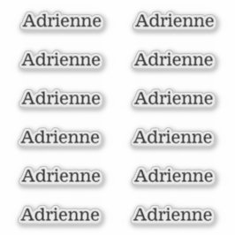 Eenvoudige Serif Naam Labels Set van 12 Aangepaste