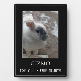 Eenvoudige Single Photo Pet Rabbit Memorial Fotoplaat