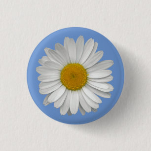 Eenvoudige witte-Daisy-ventilator op lichtblauw Ronde Button 3,2 Cm