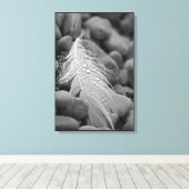 Eenvoudige zwart-witte zwaan veer waterdruppels canvas afdruk (Insitu (Houten vloer))