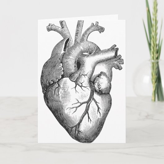 Eenvoudige zwarte witte anatomie hartillustratie kaart (Voorkant)