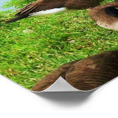 EENVOUDIGERE FROGETTA EN HET ONTBREEKT-POSTER POSTER (Hoek)