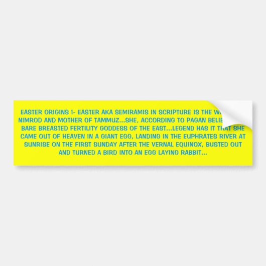 EENVOUDIGERE OORSPRONG 1 BUMPERSTICKER (Voorkant)