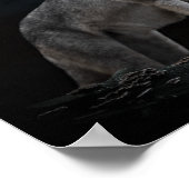 eenwolf poster (Hoek)