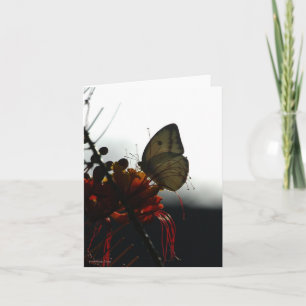 EENZAAMHEID 5a Kaart