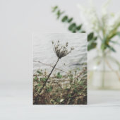 eenzaamheid briefkaart (Staand voorkant)