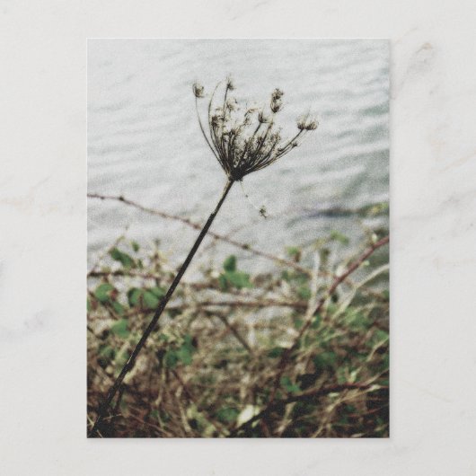 eenzaamheid briefkaart (Voorkant)