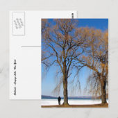 Eenzaamheid - meer van Cayuga Briefkaart (Voorkant / Achterkant)