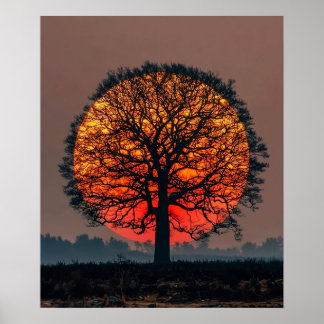 Eenzame Boom bij Zonsondergang Poster