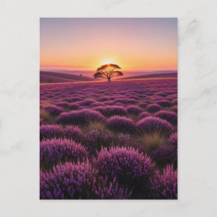 Eenzame boom North York Moors Nationaal Park Engel Briefkaart