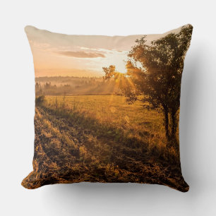 Eenzame boom op het broeiveld in de gouden zonsopg kussen