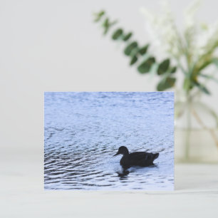 Eenzame eend natuurmeer water rimpelingen fotograf briefkaart