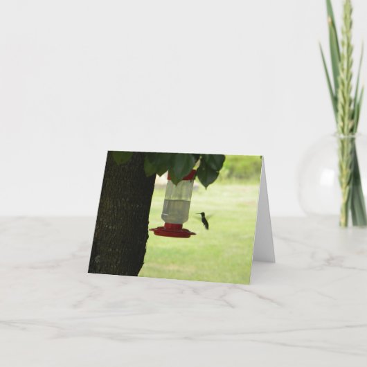 Eenzame Kolibrie Kaart (Voorkant)