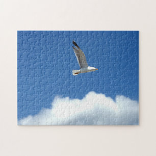 Eenzame meeuwen Puzzel