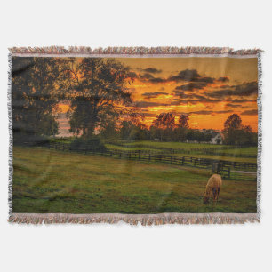 Eenzame paard bij zonsondergang deken