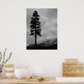 Eenzame pine - Poster (Keuken)