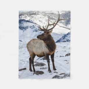 Eenzame stier eland in de sneeuw Yellowstone Nat Fleece Deken