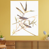 Eenzame Vireo Flycatcher van Audubon op riet Canvas Afdruk (Insitu (Woonkamer))