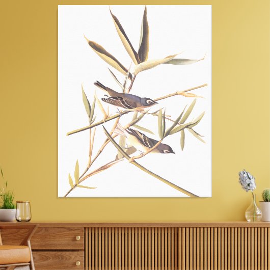 Eenzame Vireo Flycatcher van Audubon op riet Canvas Afdruk (Insitu (Woonkamer))