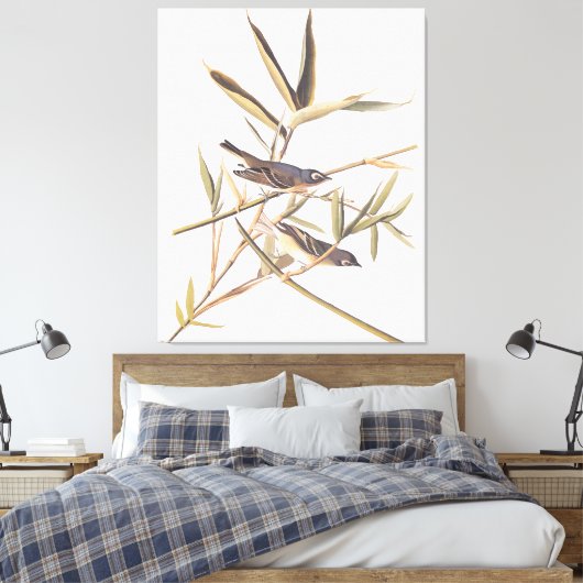 Eenzame Vireo Flycatcher van Audubon op riet Canvas Afdruk (Insitu (Slaapkamer))