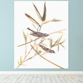 Eenzame Vireo Flycatcher van Audubon op riet Canvas Afdruk (Insitu (Houten vloer))