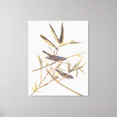 Eenzame Vireo Flycatcher van Audubon op riet Canvas Afdruk (Voorkant)