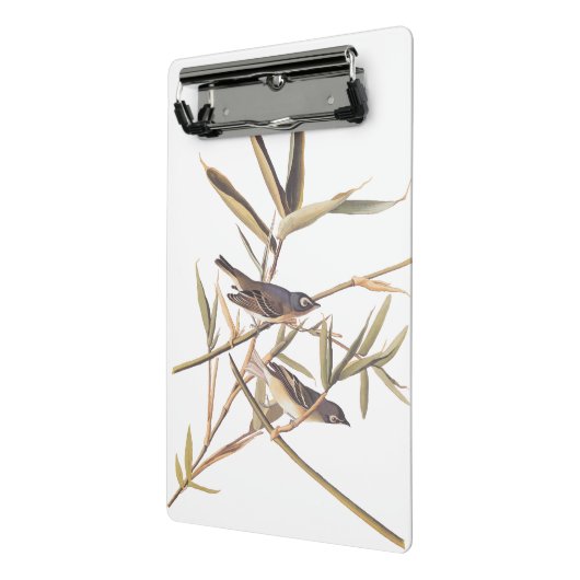 Eenzame Vireo Flycatcher van Audubon op riet Mini Klembord (Angled2)