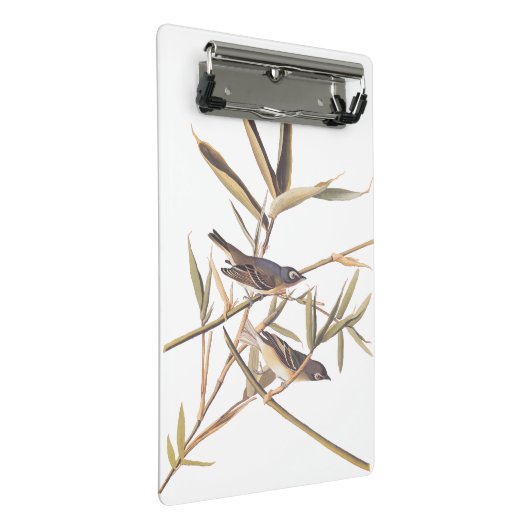 Eenzame Vireo Flycatcher van Audubon op riet Mini Klembord (Schuin)