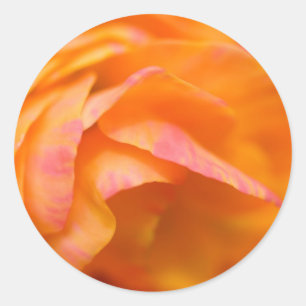 eenzame waarheid ronde sticker