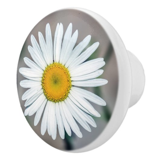 Eenzijdige ventilatorkeramische knop (Rechts)