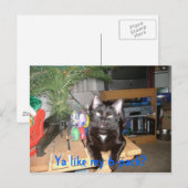 Eerste 6-verpakking briefkaart (Voorkant / Achterkant)