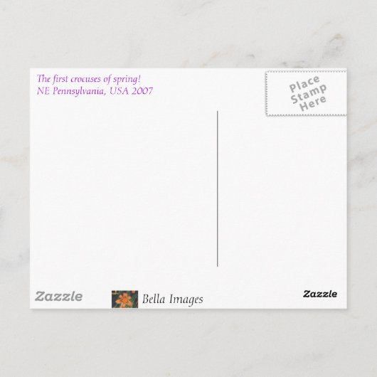 Eerste Crocus. -briefkaart Briefkaart (Achterkant)