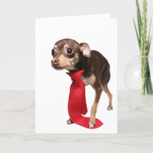 eerste dag, nieuwe baan kaart