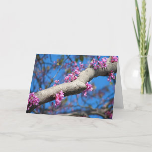 Eerste Dag van de Lente Kaart