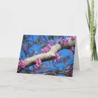 Eerste Dag van de Lente Kaart