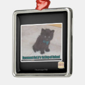 Eerste dag van de school metalen ornament (Links)