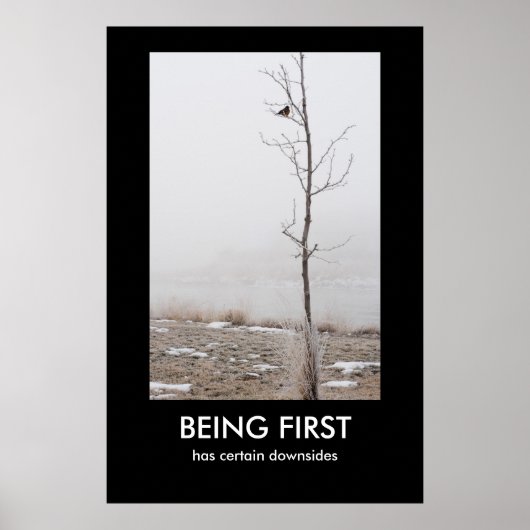 EERSTE Demotivatie-Poster Poster (Voorkant)